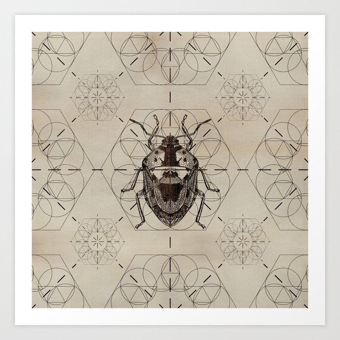 Sacred Geometry Soldier Bug Art Print
