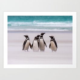 Magellanic Penguins on the Beach Art Print