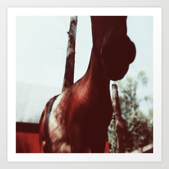 Horse At The Zoo Winter Wonderland Art Print By