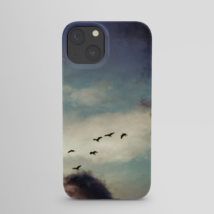 For Love of Sky iPhone Case
