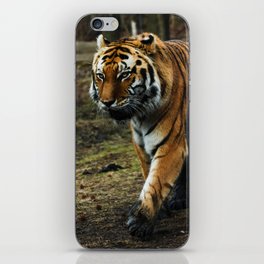Amur Tiger 2 iPhone Skin