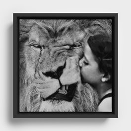 Grouchy Lion being kissed by brunette girl black and white photography Framed Canvas