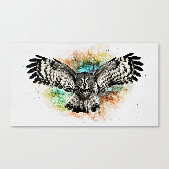 Owl Canvas Print