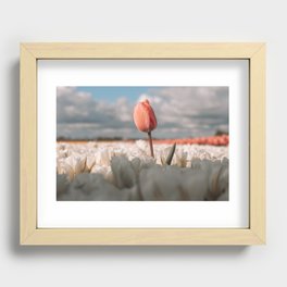 Tullips, NL Recessed Framed Print