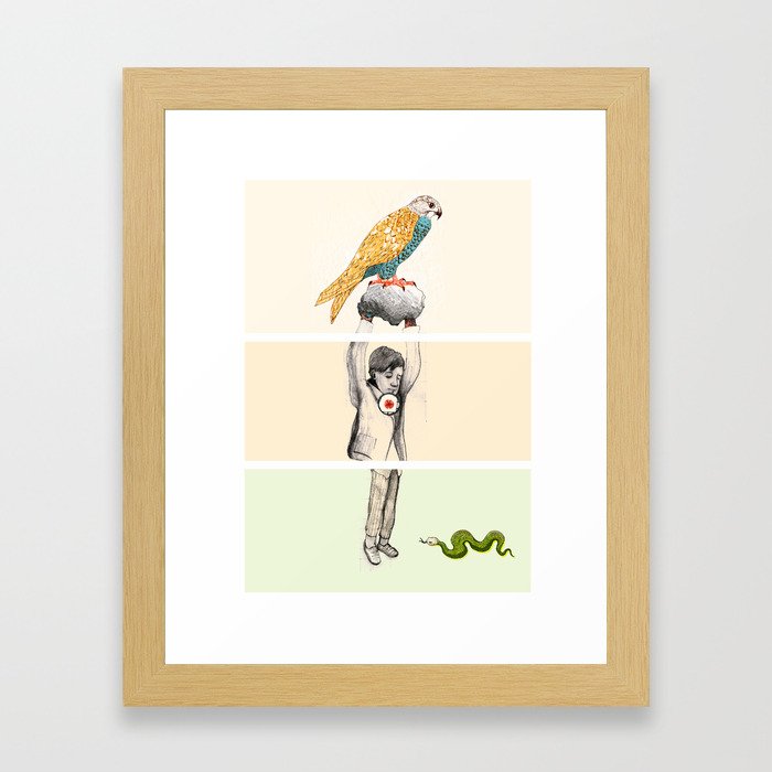 Falco Framed Art Print