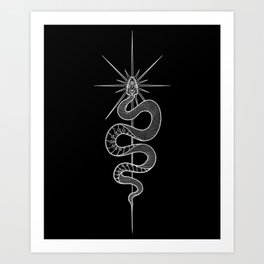 White Python Art Print