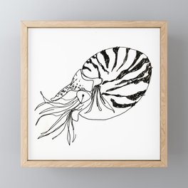 Nautilus #2 Framed Mini Art Print