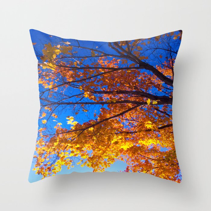 AutUMN Orange Leaves Bright Blue Sky Throw Pillow