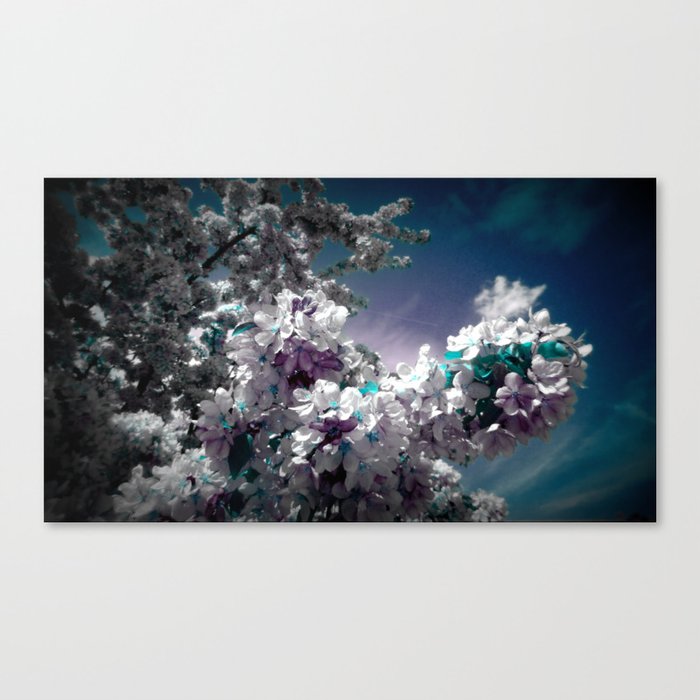 Flowers Purple & Teal Canvas Print