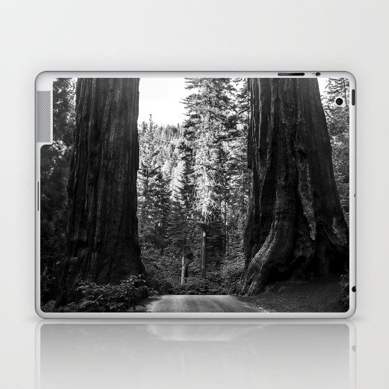 Twin giant redwoods / sequoias Pacific Coast California nature black and white landscape photograph / photography Laptop & iPad Skin