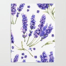 watercolor lavender flowers Poster