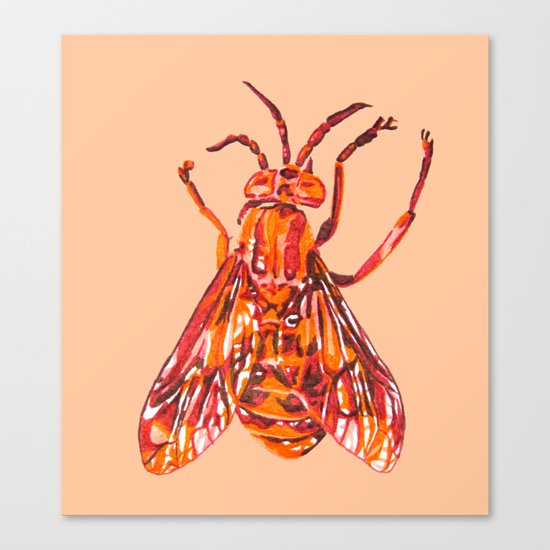 Horse Fly Canvas Print