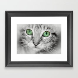 EYES OF THE CAT Framed Art Print