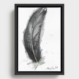 Immature Bald Eagle Feather Framed Canvas