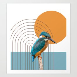 Colorful bird Art Print
