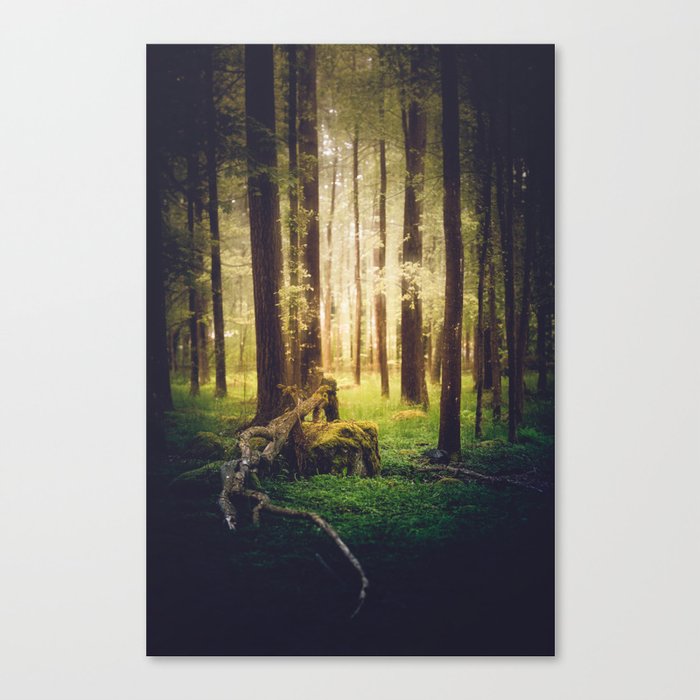 Come to me Canvas Print