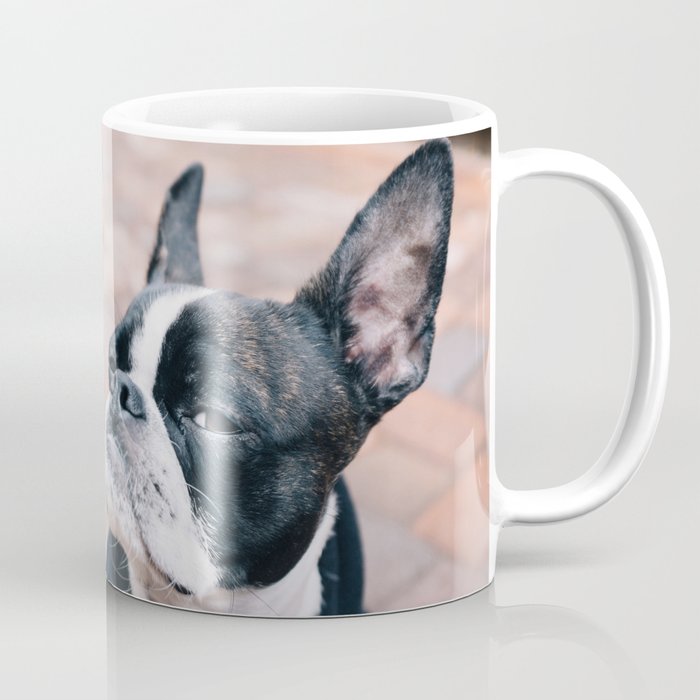 Bruce the Boston Terrier Pug Coffee Mug