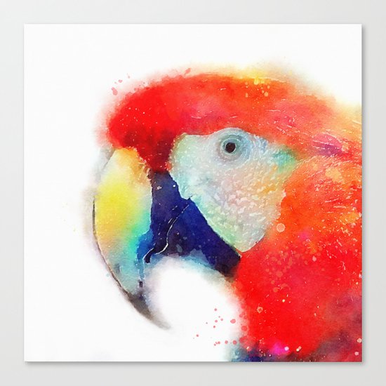 The Articulate - Parrot Canvas Print