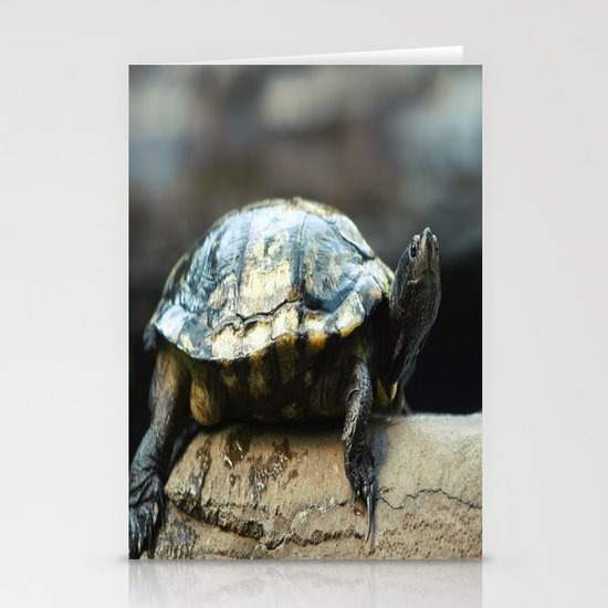 Turtle Stationery Cards