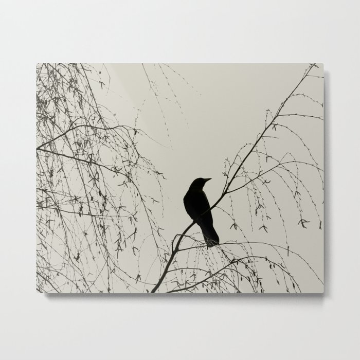 Crow in the Willow - Graphic Birds Series, Plain - Modern Home Decor Metal Print