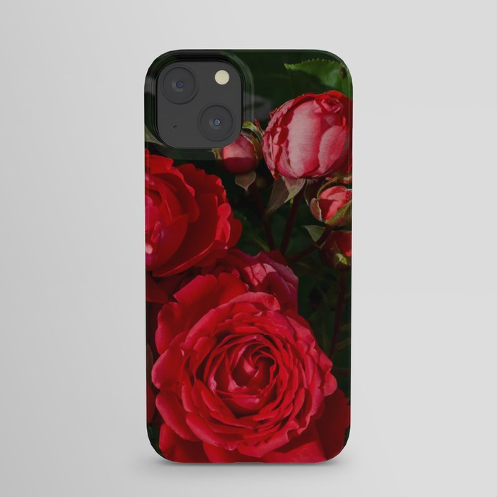 red rosebush deux iPhone Case