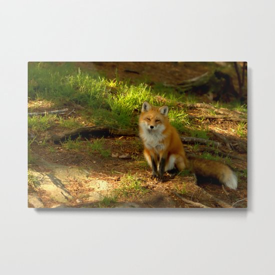 The look of love Metal Print