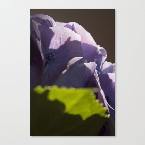 Whispers of happiness Canvas Print