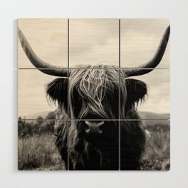 Scottish Highland Cattle in Black and White - Animal Photograph Wood Wall Art