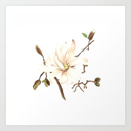 Watercolor Magnolia flower and branches Art Print