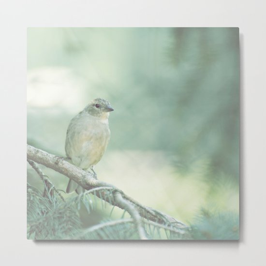 Bird Metal Print