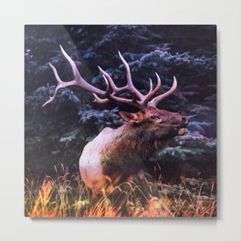 elk in forest sunset aesthetic wildlife art nature photography Metal Print