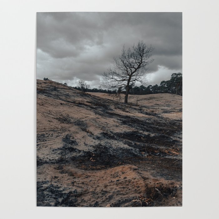 Lonely tree in wild landscape Poster