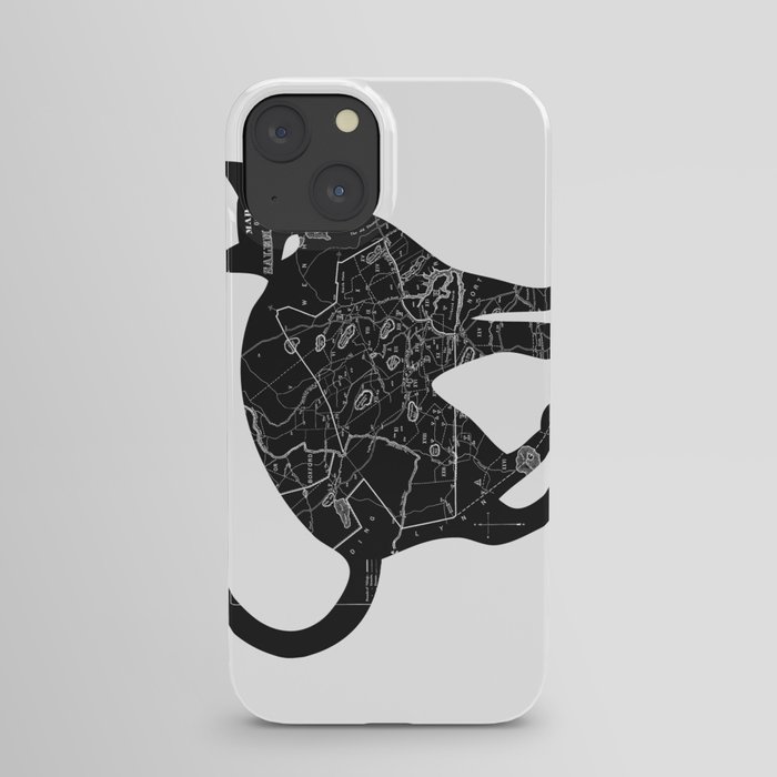 A Familiar Black Cat iPhone Case