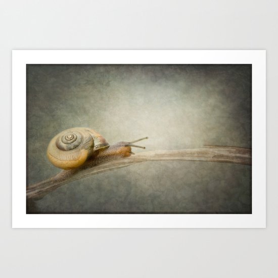 The Adventurer Art Print