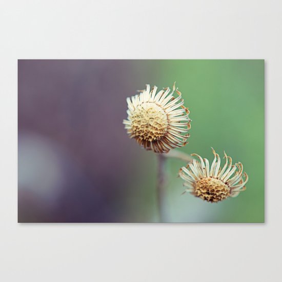 Awake Canvas Print