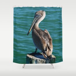 Pelicans On Wood Bridge Over Sea Bathroom Fabric Home Shower Curtain Set 71 Inch 