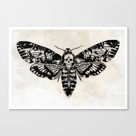 Death's-head Hawkmoth Canvas Print