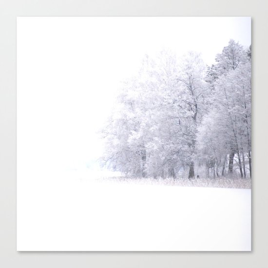 White Forest Canvas Print