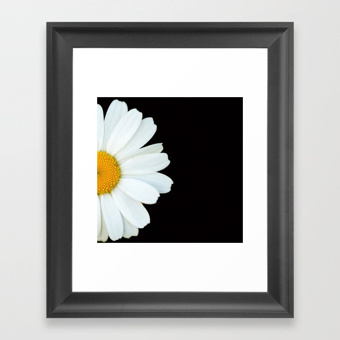Hello Daisy - White Flower Black Background #decor #society6 #buyart Framed Art Print