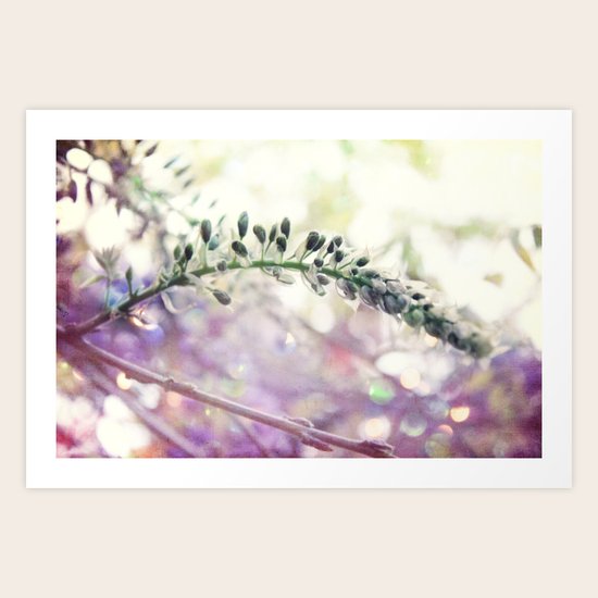 Wisteria Art Print