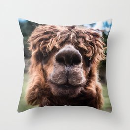 Curious Llama Throw Pillow