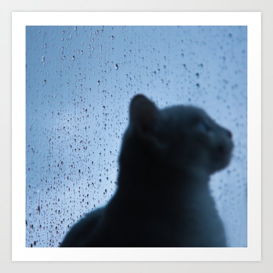 Cat Looking the rain Art Print