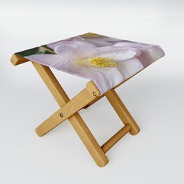 Pink Camellia in Spring Folding Stool