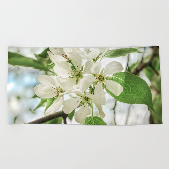 the Apple blossoms Beach Towel