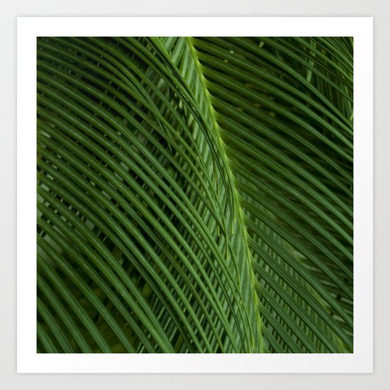 Palm leaves 2 Art Print