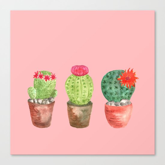 Three Cacti watercolor pink Canvas Print