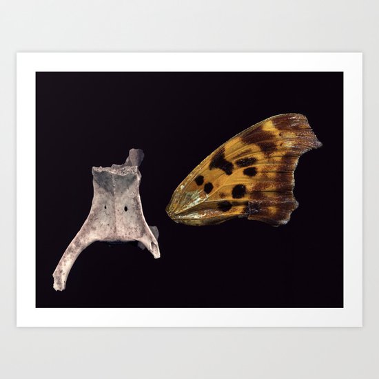 Backbone and Butterfly Wing Art Print