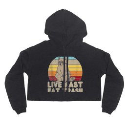 Fast Live Eat Trash Raccoon Sunset Retro St Hoody