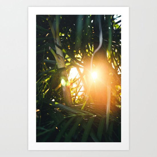 Burst II Art Print