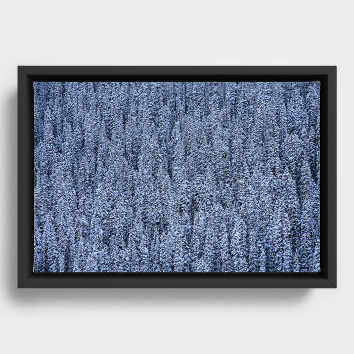 Frosted Forest Framed Canvas